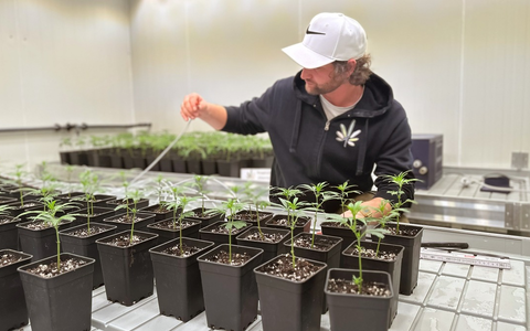 Erfolg für RTLZWEI am Dienstag - Foto: presseportal.de