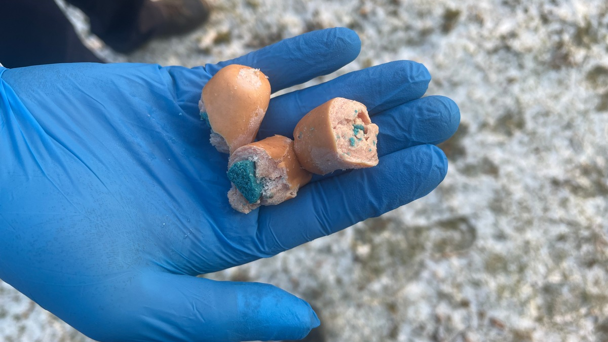 POL-UL: (UL) Ulm - Verdächtige Wurststücke am Wegesrand entdeckt / Am Dienstag fand eine Zeugin präparierte Wurststückchen in der Ulmer Weststadt. - Foto: presseportal.de