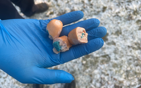 POL-UL: (UL) Ulm - Verdächtige Wurststücke am Wegesrand entdeckt / Am Dienstag fand eine Zeugin präparierte Wurststückchen in der Ulmer Weststadt. - Foto: presseportal.de