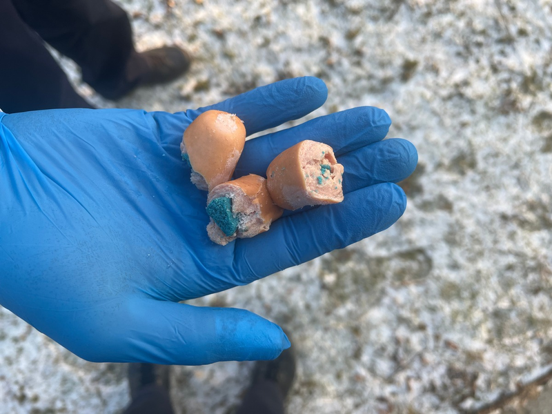 POL-UL: (UL) Ulm - Verdächtige Wurststücke am Wegesrand entdeckt / Am Dienstag fand eine Zeugin präparierte Wurststückchen in der Ulmer Weststadt. - Foto: presseportal.de