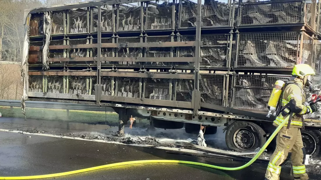 POL-VER: A27: Feuer zerstört Sattelauflieger ++ Autobahnpolizei Langwedel geht von technischem Defekt aus ++ Verkehrsbehinderungen bis in die Nachmittagsstunden - Bild: presseportal.de