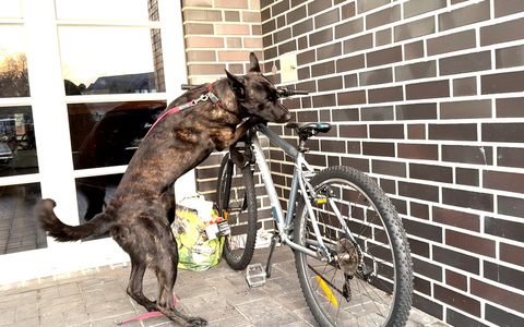 POL-OS: Osnabrück: Großverfahren wegen Kreditbetruges - Zahlreiche Durchsuchungen und zwei Festnahmen in sechs Bundesländern (VIDEO) - Foto: presseportal.de