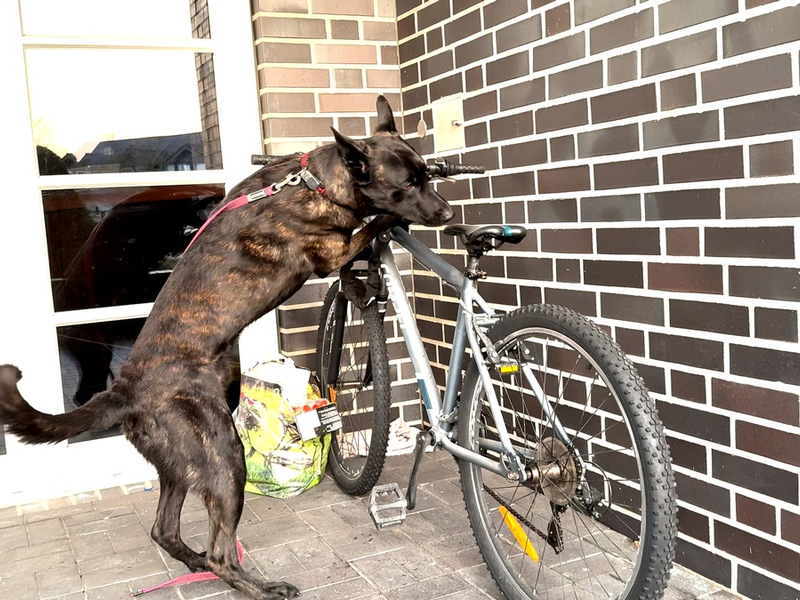 POL-OS: Osnabrück: Großverfahren wegen Kreditbetruges - Zahlreiche Durchsuchungen und zwei Festnahmen in sechs Bundesländern (VIDEO) - Foto: presseportal.de