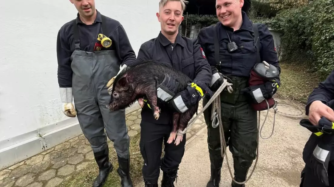 FW Hagen: Tierische Rettung, Schwein aus Notlage befreit - Bild: presseportal.de