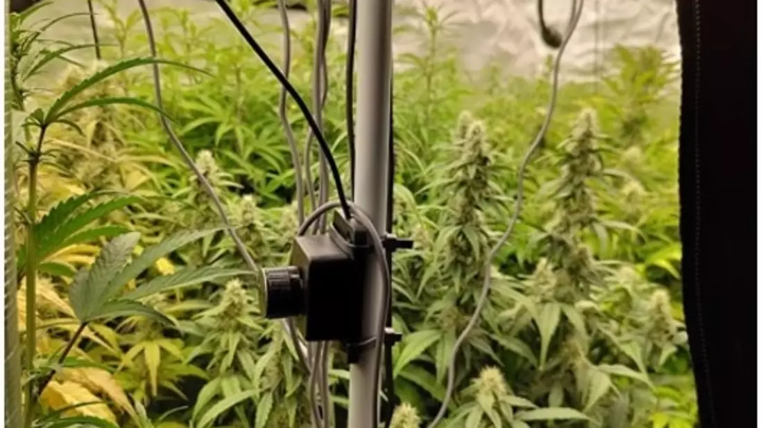 POL-LG: ++ Cannabispflanzen aufgefunden ++ Suche nach einem vermissten Mann ++ Diebstahl aus Bekleidungsgeschäft - Sicherungsalarm ausgelöst ++ Einbruch in zwei nebeneinanderstehende Transporter ++ - Bild: presseportal.de