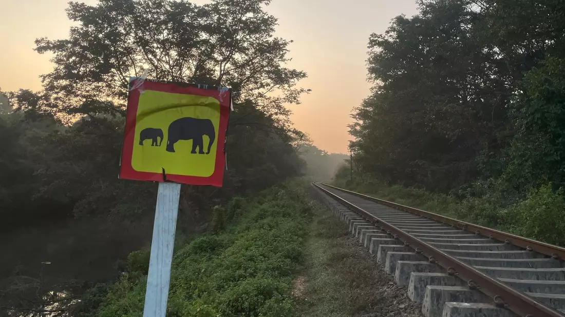 Wildhüter und Polizeibeamte stehen an einer entgleisten Lokomotive, nachdem ein Personenzug mit einer Elefantenherde zusammengestoßen ist. (Foto aktuell) - Bild: Priyan Malinda/AP/dpa