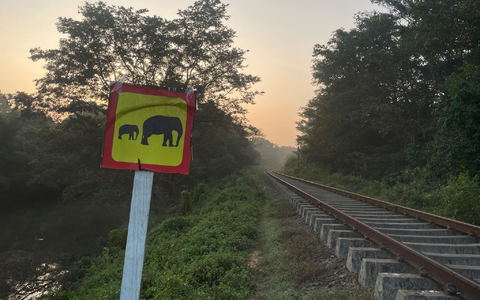 Wildhüter und Polizeibeamte stehen an einer entgleisten Lokomotive, nachdem ein Personenzug mit einer Elefantenherde zusammengestoßen ist. (Foto aktuell) - Foto: Priyan Malinda/AP/dpa