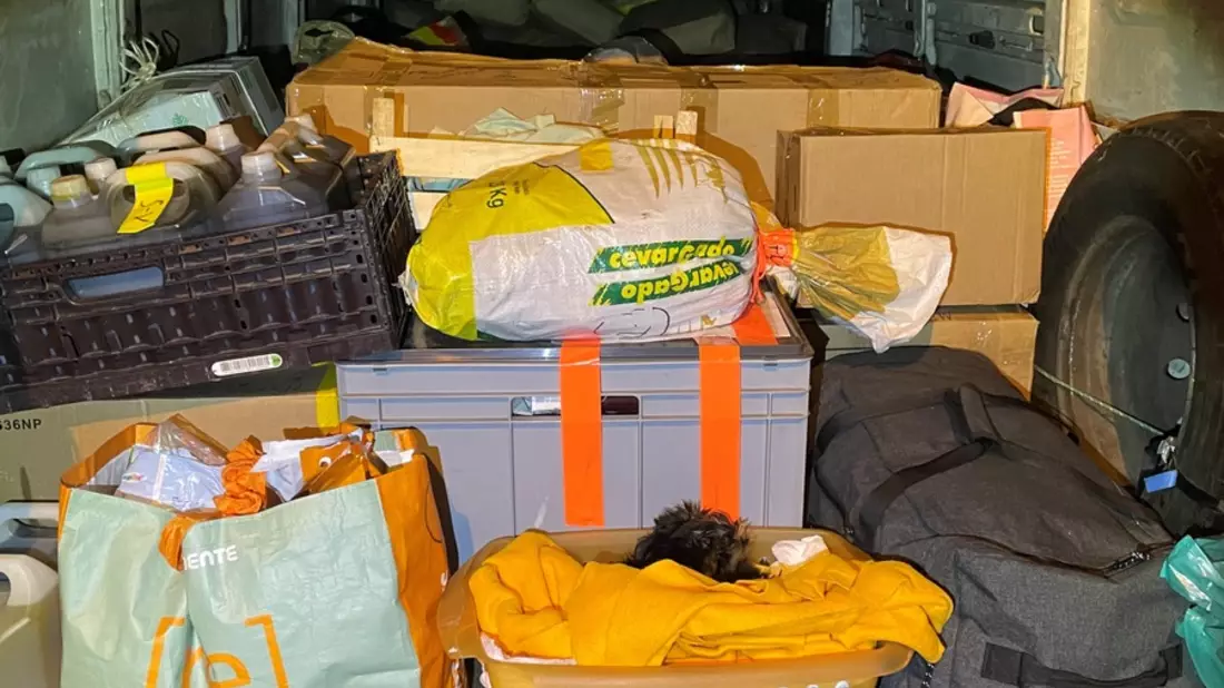 HZA-SI: ZOLL entdeckt Hundewelpen auf Ladefläche - Bild: presseportal.de
