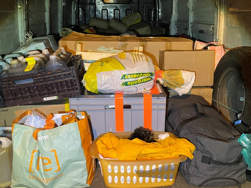 HZA-SI: ZOLL entdeckt Hundewelpen auf Ladefläche - Foto: presseportal.de