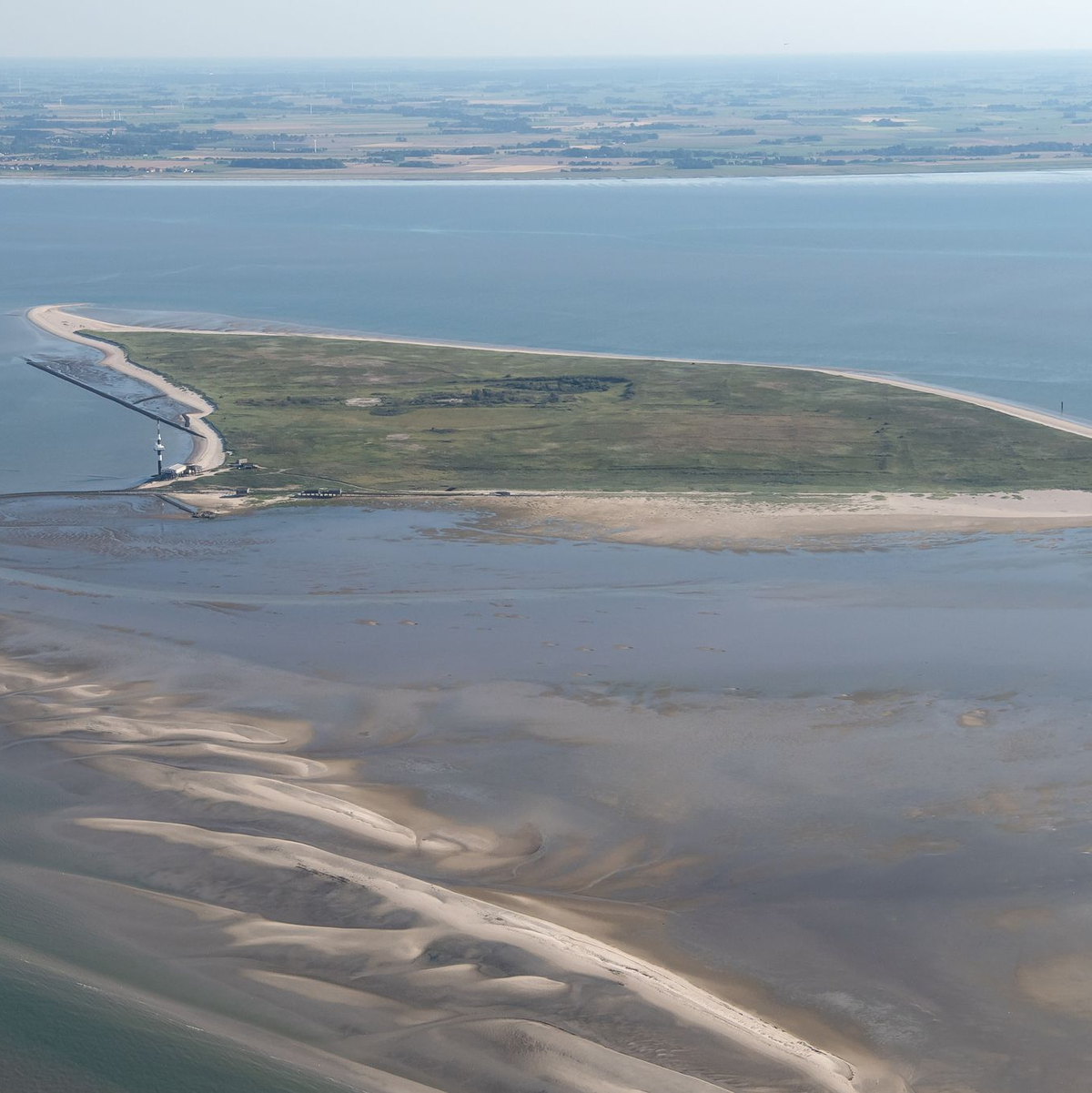 Die unbewohnte Vogelschutzinsel Minsener Oog mitten im Nationalpark Wattenmeer darf nicht betreten werden. (Archivbild) - Foto: Sina Schuldt/dpa