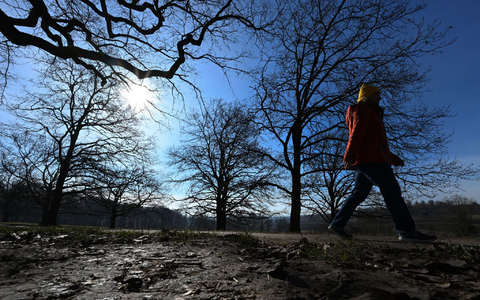 Der zu Ende gehende Winter war mild und trocken. (Archivbild) - Foto: Bernd Weißbrod/dpa