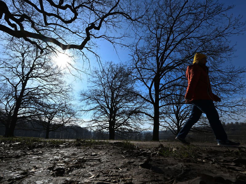 Am Wochenende erwarten die Menschen zweistellige Temperaturen.  - Foto: Bernd Weißbrod/dpa