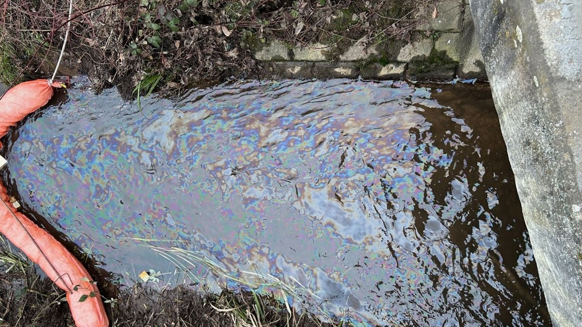 POL-PDLD: Venningen - Gewässerverunreinigung - Foto: presseportal.de