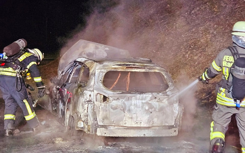 FW-Radolfzell: Fahrzeugbrand auf der B 33 - Foto: presseportal.de