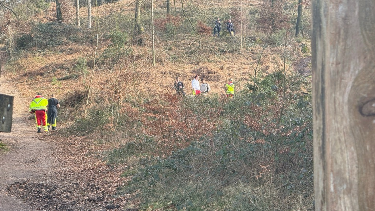 FW Kranenburg: Mountainbiker schwer verletzt im Reichswald - Foto: presseportal.de