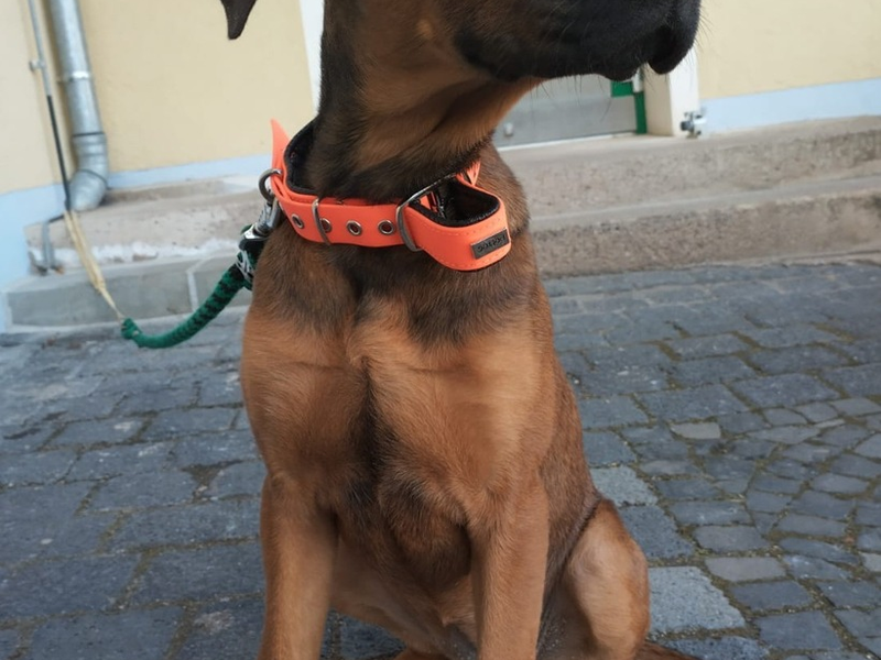 LPI-NDH: Unverantwortliche Tierhalter gesucht!!! - Foto: presseportal.de