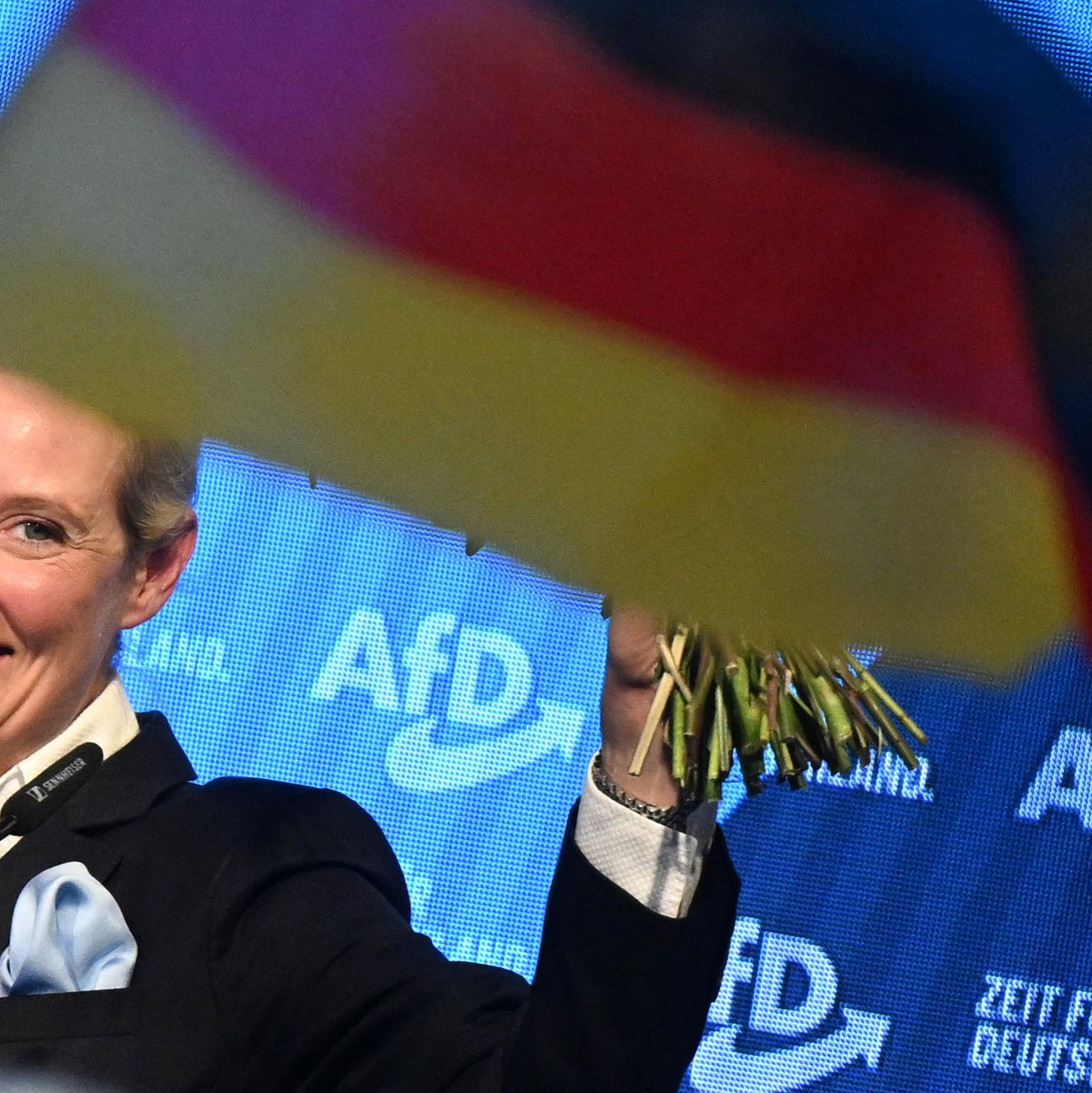 AfD gewinnt alle ostdeutschen Flächenländer.  - Foto: Julian Stratenschulte/dpa
