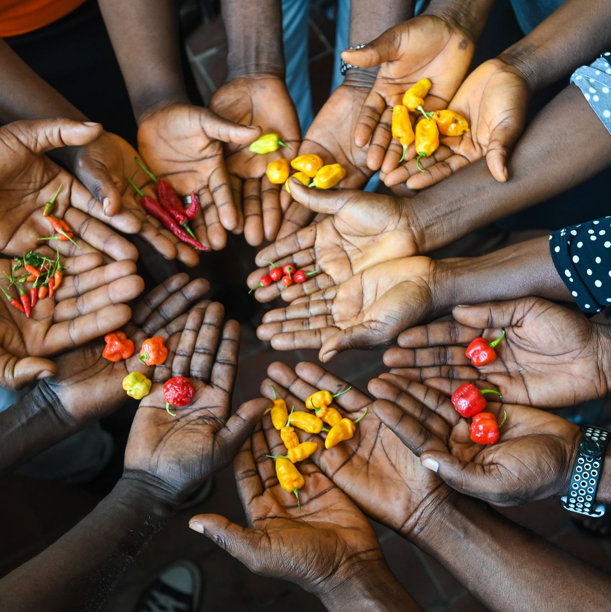 In dem Saatgut-Tresor sind gut 14.000 neue Saatgut-Proben deponiert worden.  - Foto: Neil Palmer/dpa
