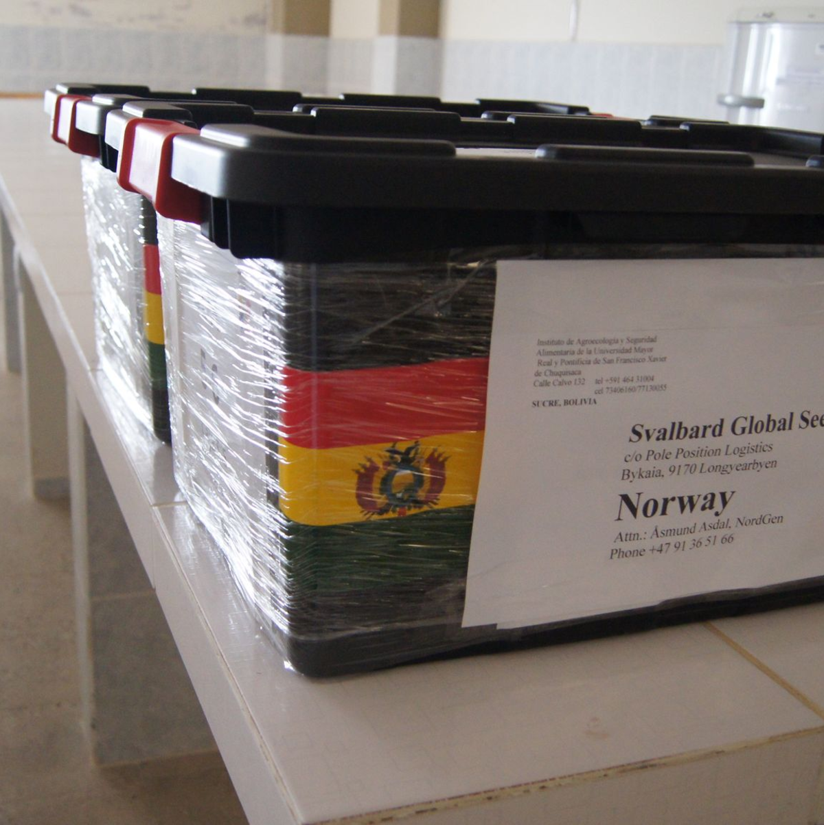 Spitzbergen liegt etwa auf halbem Weg zwischen dem Nordpol und der Nordspitze Norwegens. - Foto: Alfredo Jose Salinas/dpa