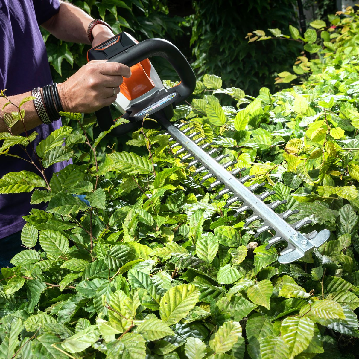 Mit dem Verbot sollen Tiere geschützt werden. (Archivbild) - Foto: selbst ist der Mann/dpa-tmn