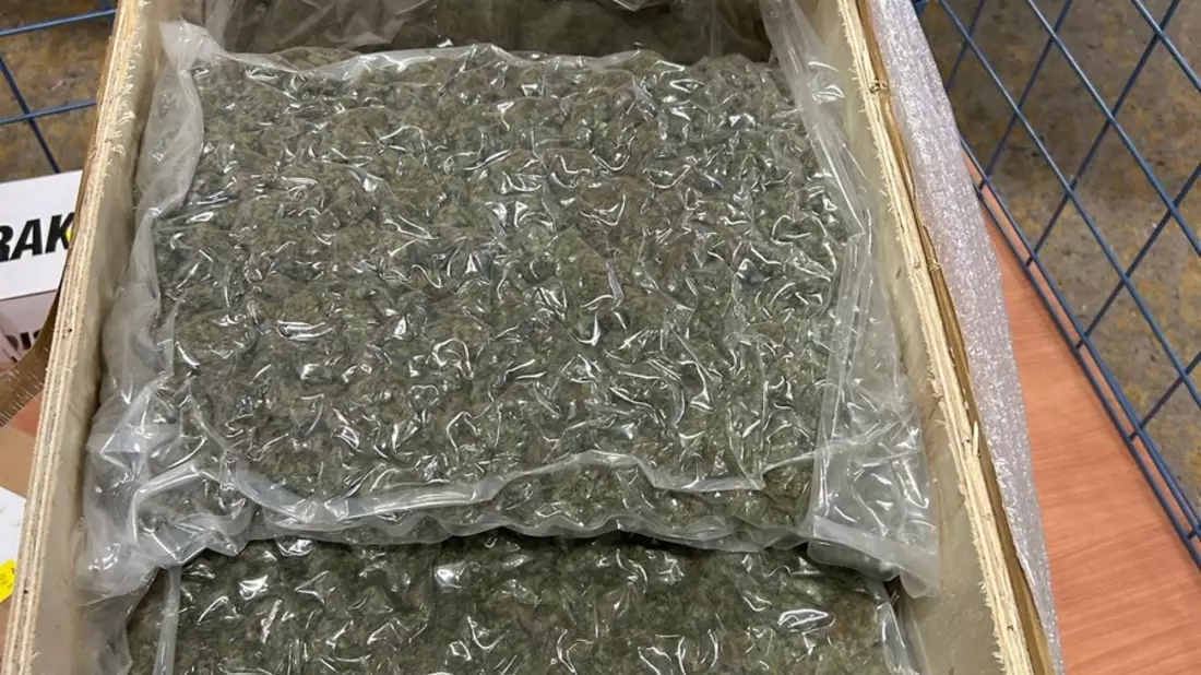 ZOLL-E: Feine Spürnase - Zollhündin Frieda führt Zöllner zum Erfolg ! - fast 50 kg Drogen sichergestellt - 1 Person in Haft - Bild: presseportal.de