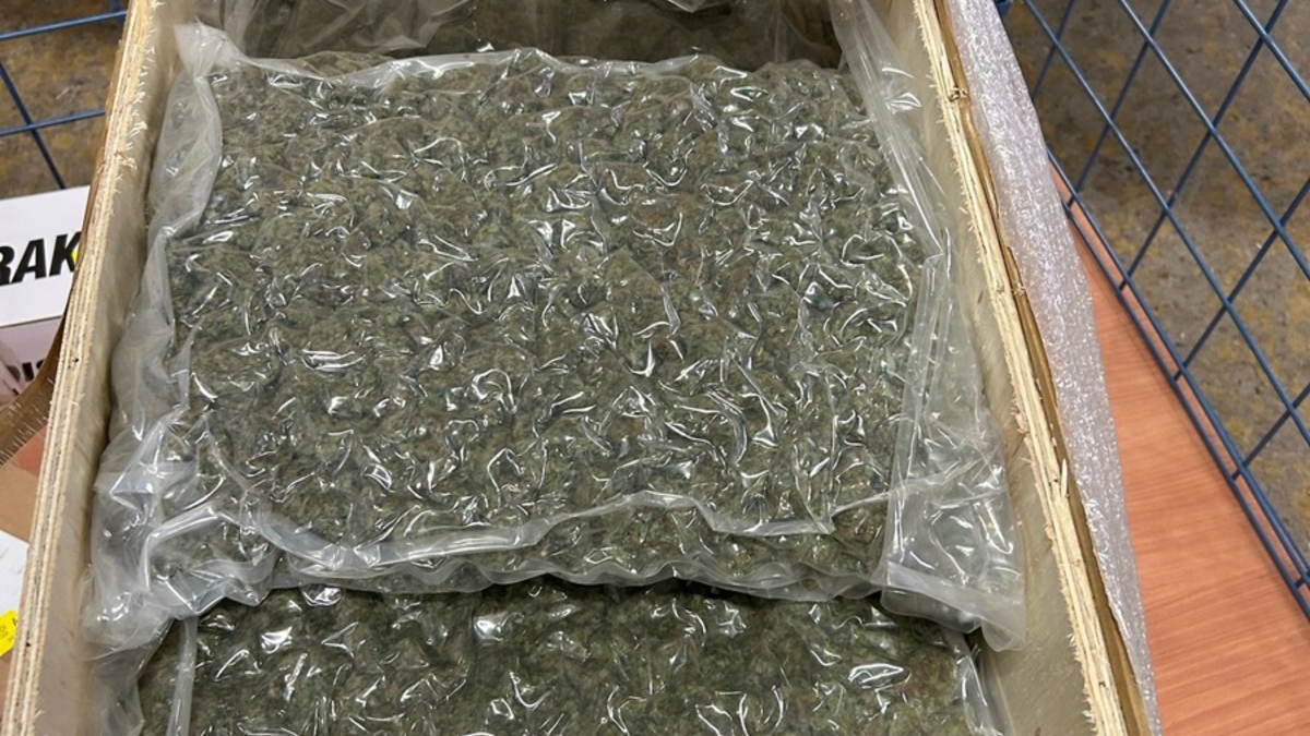 ZOLL-E: Feine Spürnase - Zollhündin Frieda führt Zöllner zum Erfolg ! - fast 50 kg Drogen sichergestellt - 1 Person in Haft - Foto: presseportal.de