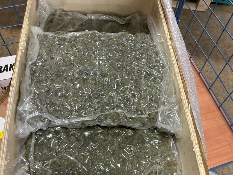 ZOLL-E: Feine Spürnase - Zollhündin Frieda führt Zöllner zum Erfolg ! - fast 50 kg Drogen sichergestellt - 1 Person in Haft - Foto: presseportal.de