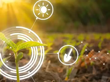 Innovationskompass 2025: Deutsche Verbraucher fordern mehr Nachhaltigkeit in der Landwirtschaft - Foto: presseportal.de