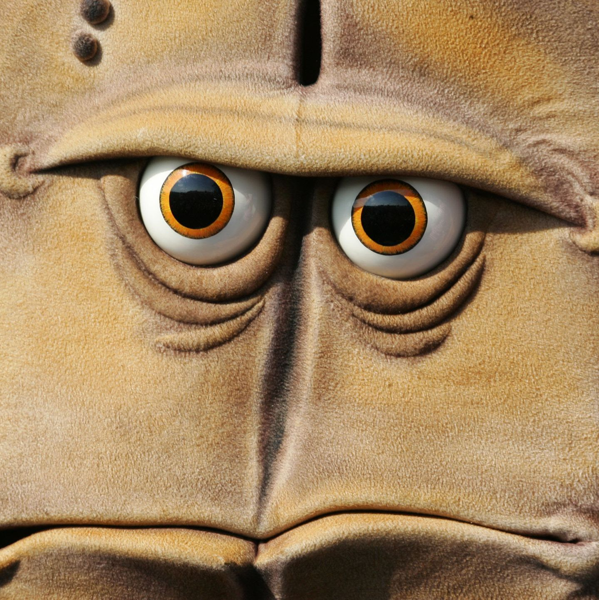 Bernd das Brot bleibt sich treu. - Foto: picture alliance / dpa