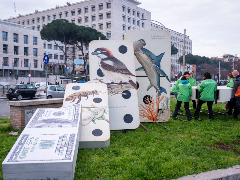 Umweltschützer begleiteten die UN-Konferenz zunächst mit Protesten - und waren am Ende zufrieden mit dem Ergebnis. - Foto: Marco Di Gianvito/ZUMA Press Wire/dpa
