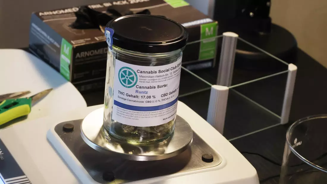  Vor wenigen Tagen wurde im Cannabis Social Club Erfurt erstmals Genusscannabis an Vereinsmitglieder ausgegeben. - Bild: Bodo Schackow/dpa