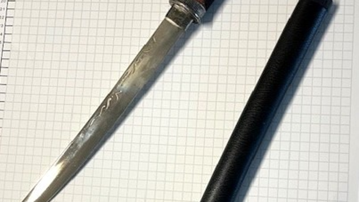 BPOL NRW: Bundespolizei stellt Schwert im Hbf Recklinghausen sicher - Foto: presseportal.de