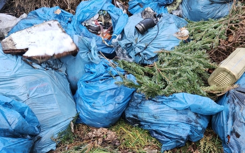 POL-SE: Klein Offenseth-Sparrieshoop / Uetersen - Illegale Ablagerungen von asbest- bzw. ölhaltigem Materialien - Polizei sucht Zeugen - Foto: presseportal.de