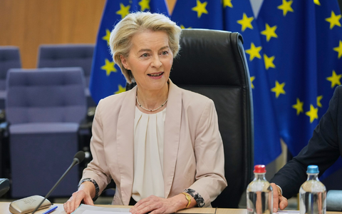 Ursula von der Leyen bei einem Treffen mit Industrievertretern.  - Foto: Virginia Mayo/AP/dpa