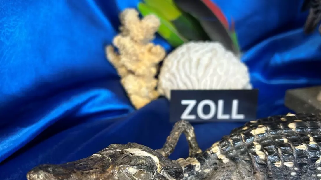 HZA-RO: Hauptzollamt Rosenheim appelliert an den Schutz gefährdeter Tiere und Pflanzen / Tag des Artenschutzes am 03. März - Bild: presseportal.de