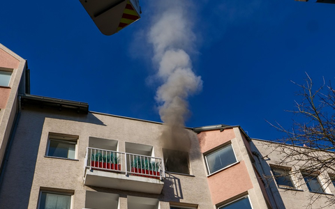 FW-DO: Wohnungsbrand mit Menschenrettung in der MĂŒnsterstraĂe rechtzeitig zum Rosenmontagsumzug beendet - Foto: presseportal.de FW-DO: Wohnungsbrand mit Menschenrettung in der MĂŒnsterstraĂe rechtzeitig zum Rosenmontagsumzug beendet - Foto: presseportal.de