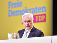 Wolfgang Kubicki (Archiv) - Foto: über dts Nachrichtenagentur