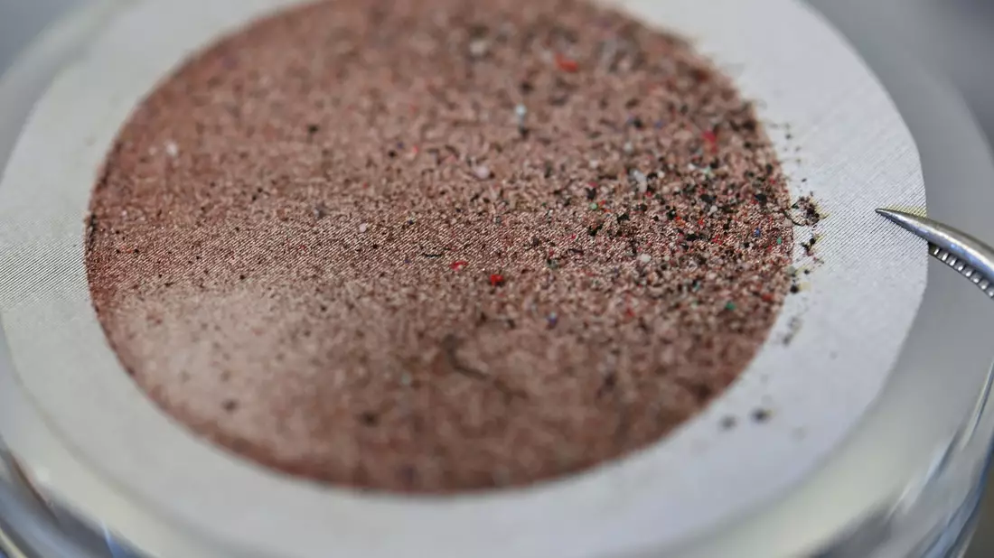 Mikroplastikpartikel haben sich nach Filtration auf einer Edelstahlmembran abgesetzt. (Symbolbild) - Bild: Arne Dedert/dpa