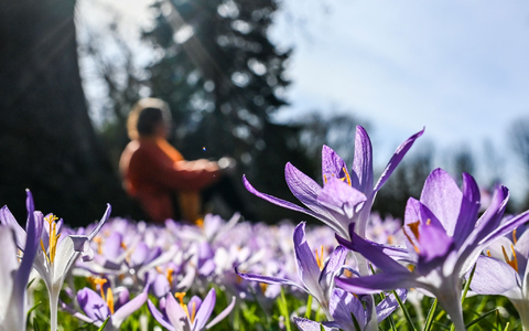 In den kommenden Tagen soll es in Deutschland bis zu 20 Grad werden. - Foto: Jens Kalaene/dpa