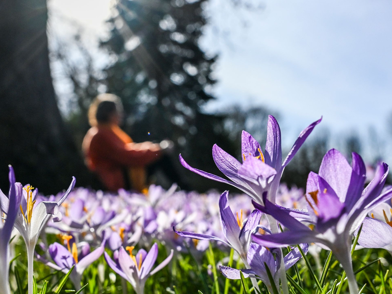 In den kommenden Tagen soll es in Deutschland bis zu 20 Grad werden. - Foto: Jens Kalaene/dpa