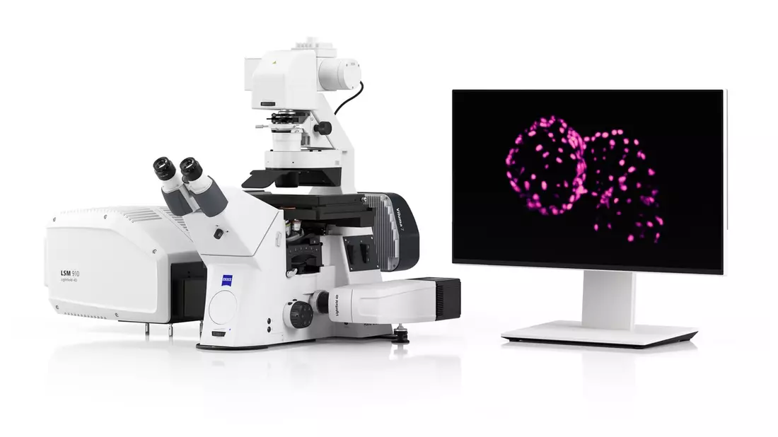 ZEISS Lightfield 4D für instantanes volumetrisches High-Speed-Imaging / Erfassung physiologischer und neuronaler Prozesse in 3D - Bild: presseportal.de