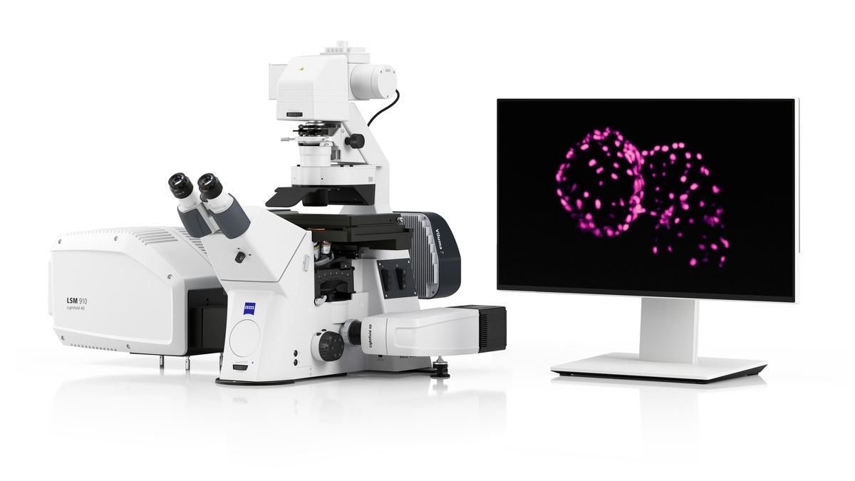 ZEISS Lightfield 4D für instantanes volumetrisches High-Speed-Imaging / Erfassung physiologischer und neuronaler Prozesse in 3D - Foto: presseportal.de