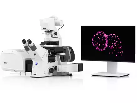 ZEISS Lightfield 4D für instantanes volumetrisches High-Speed-Imaging / Erfassung physiologischer und neuronaler Prozesse in 3D - Foto: presseportal.de