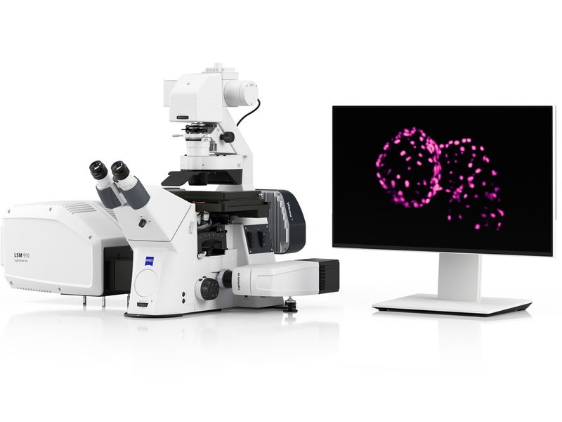 ZEISS Lightfield 4D für instantanes volumetrisches High-Speed-Imaging / Erfassung physiologischer und neuronaler Prozesse in 3D - Foto: presseportal.de