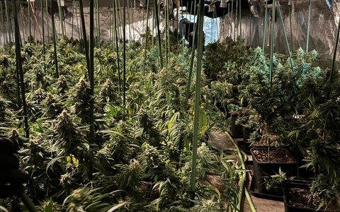 POL-EN: Ennepetal: Gemeinsame Presseerklärung der Hagener Staatsanwaltschaft und der Polizei des Ennepe-Ruhr-Kreises: Cannabis-Plantage in Ennepetal entdeckt - drei Personen festgenommen - Foto: presseportal.de