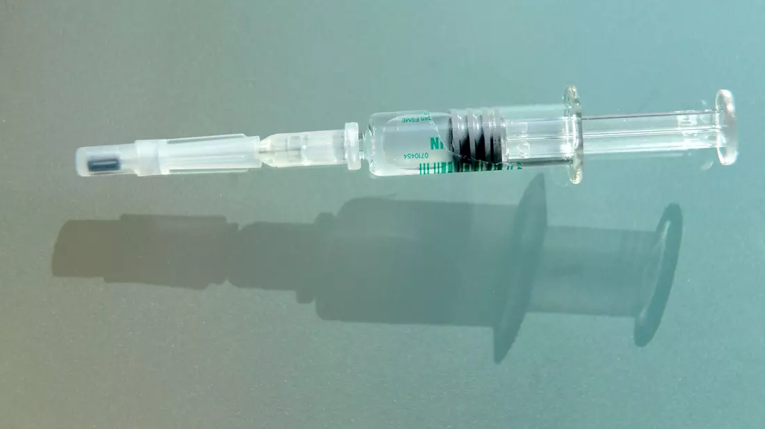 Gegen FSME-Viren kann geimpft werden, gegen Lyme-Borrelien noch nicht. (Archivbild) - Bild: picture alliance / dpa