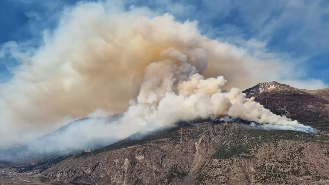 Der Brand war am Donnerstag oberhalb von Latsch im Vinschgau ausgebrochen. - Bild: LPA/Landesfeuerwehrverband/APA/dpa