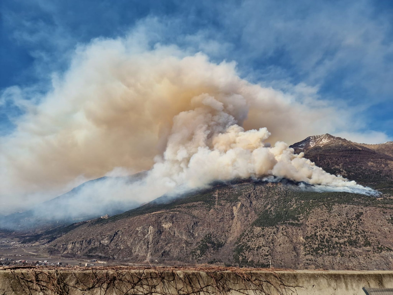 Der Brand war am Donnerstag oberhalb von Latsch im Vinschgau ausgebrochen. - Foto: LPA/Landesfeuerwehrverband/APA/dpa
