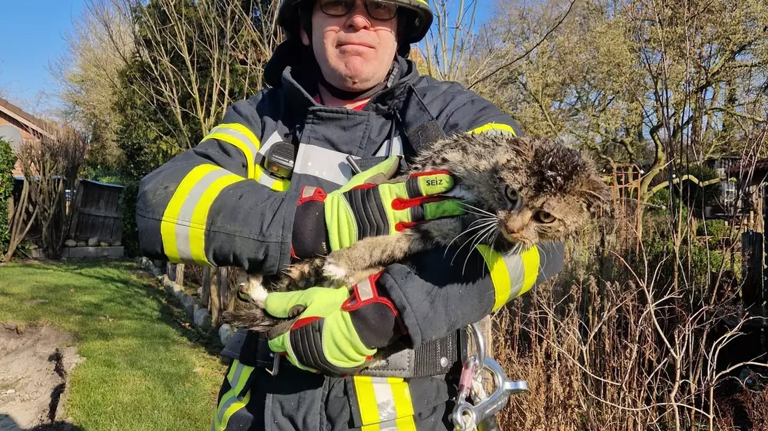 FFW Fredenbeck: Katze erfolgreich gerettet - Bild: presseportal.de
