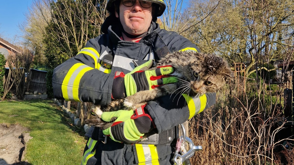 FFW Fredenbeck: Katze erfolgreich gerettet - Foto: presseportal.de